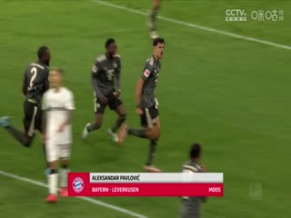 德甲联赛 弗赖堡VS霍芬海姆 20250419