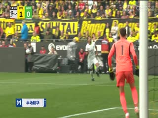 德甲联赛 多特蒙德VS沃尔夫斯堡 20250504