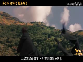 哈利·波特与魔法石_1295038_电影解说