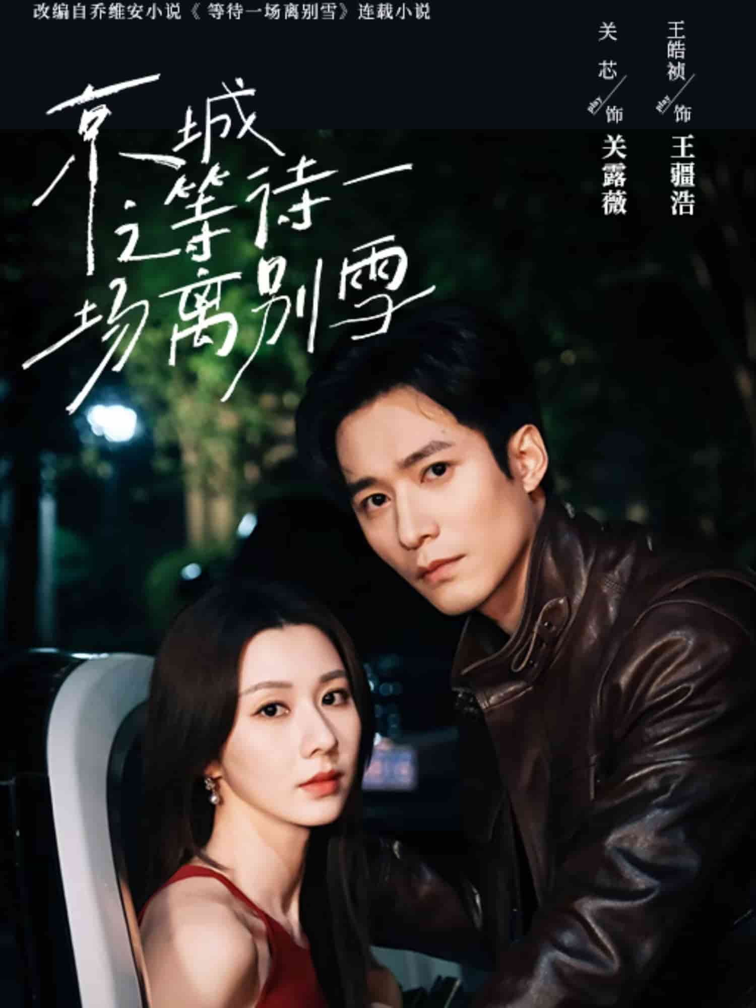 京城之等待一场离别雪